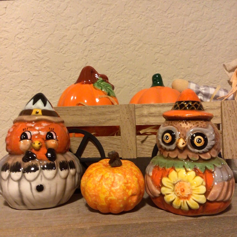 Johanna Parker turkey and owl Salt & Pepper Shakers 🍁